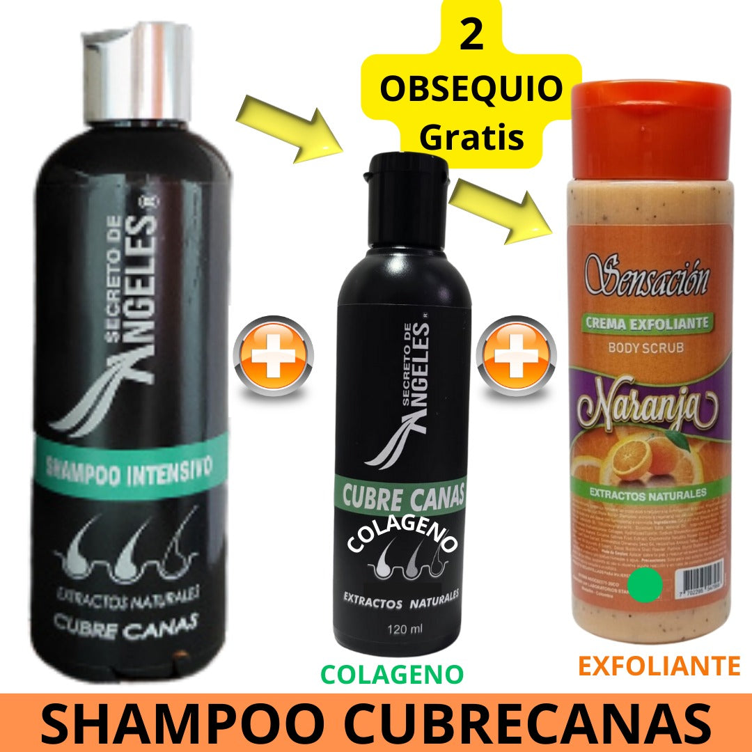 SH CURECANAS SECRETOS +  2 OBSEQUIO